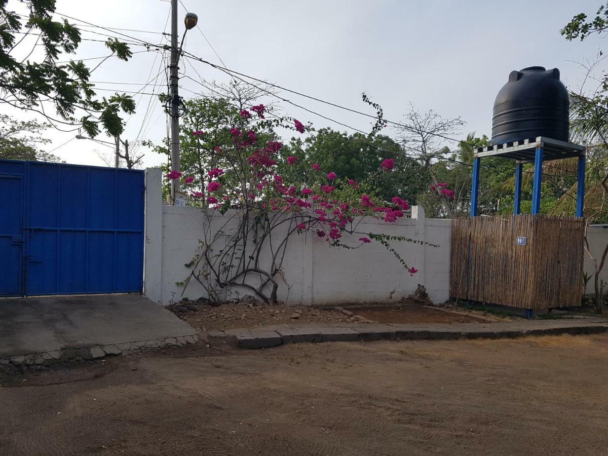 Las Peñitas Tapihouseホステル エクステリア 写真